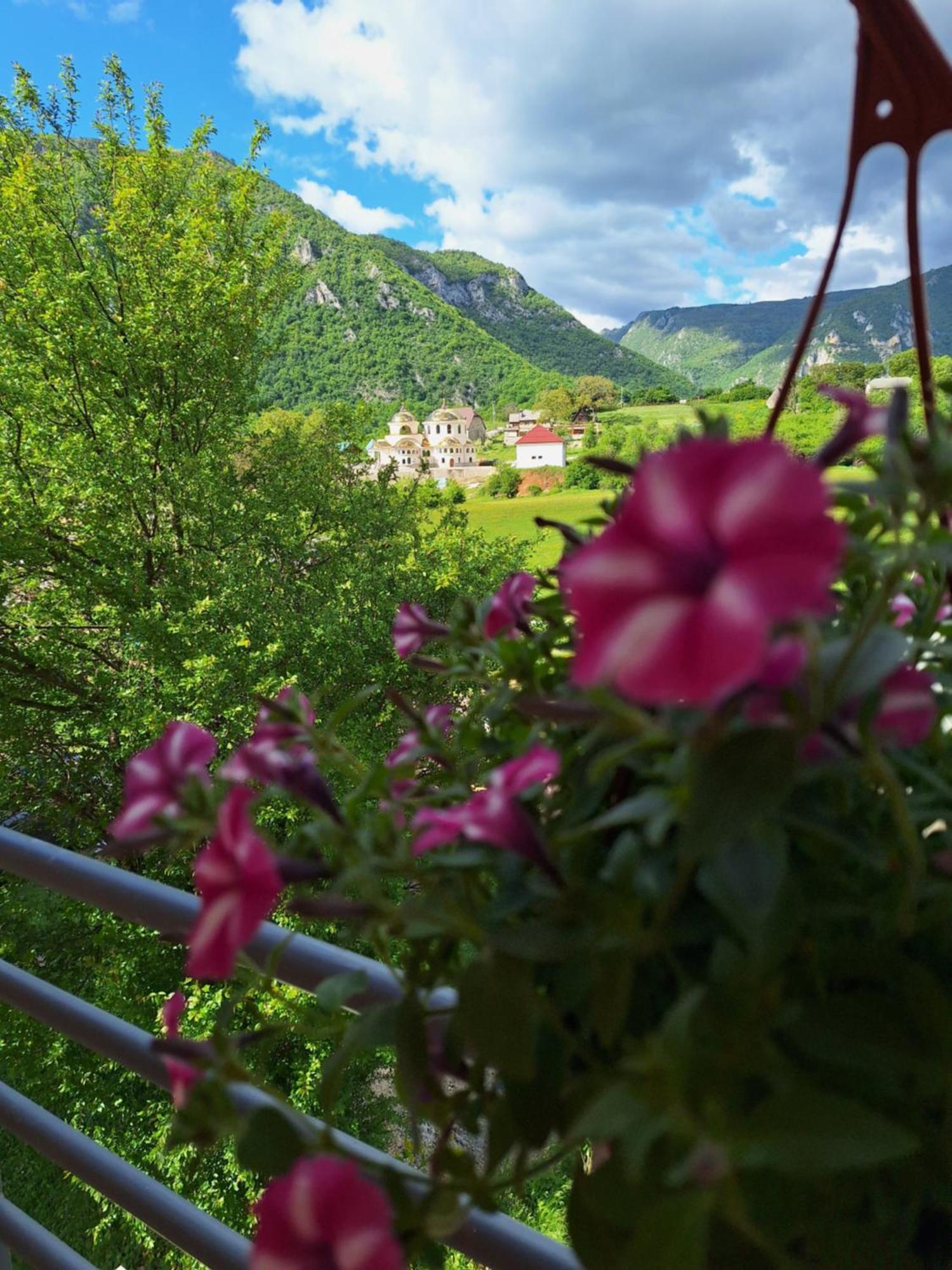 Apartmani Lena Plužine Eksteriør bilde